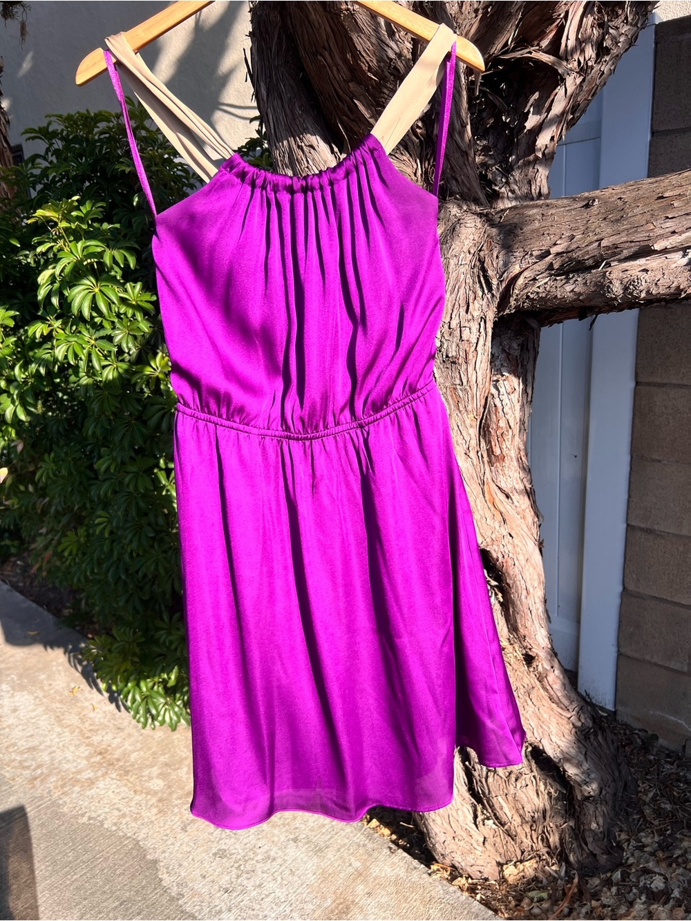 The Limited Purple Dress with Beige Straps